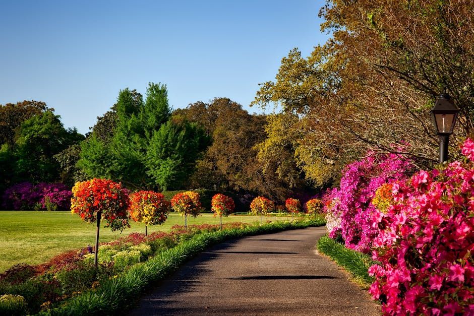 A paved path through a vibrant garden with red and pink flowers, trees, and a lamp post under a clear blue sky.