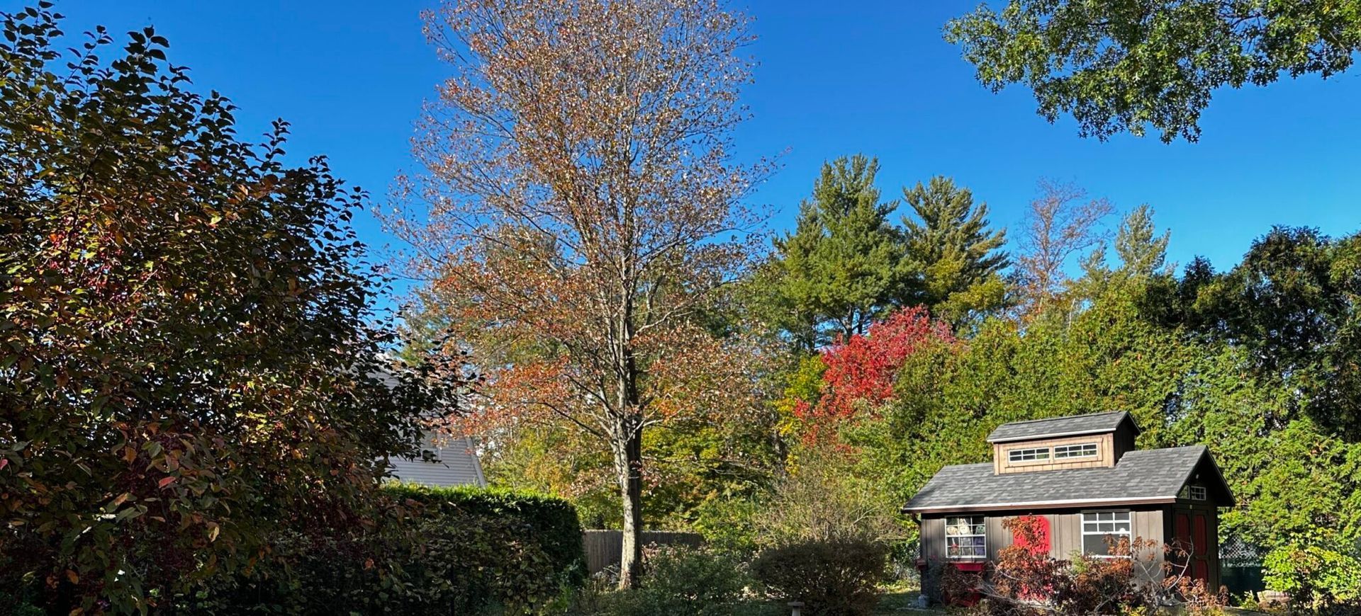 A small wooden cabin surrounded by colorful autumn trees under a clear blue sky.