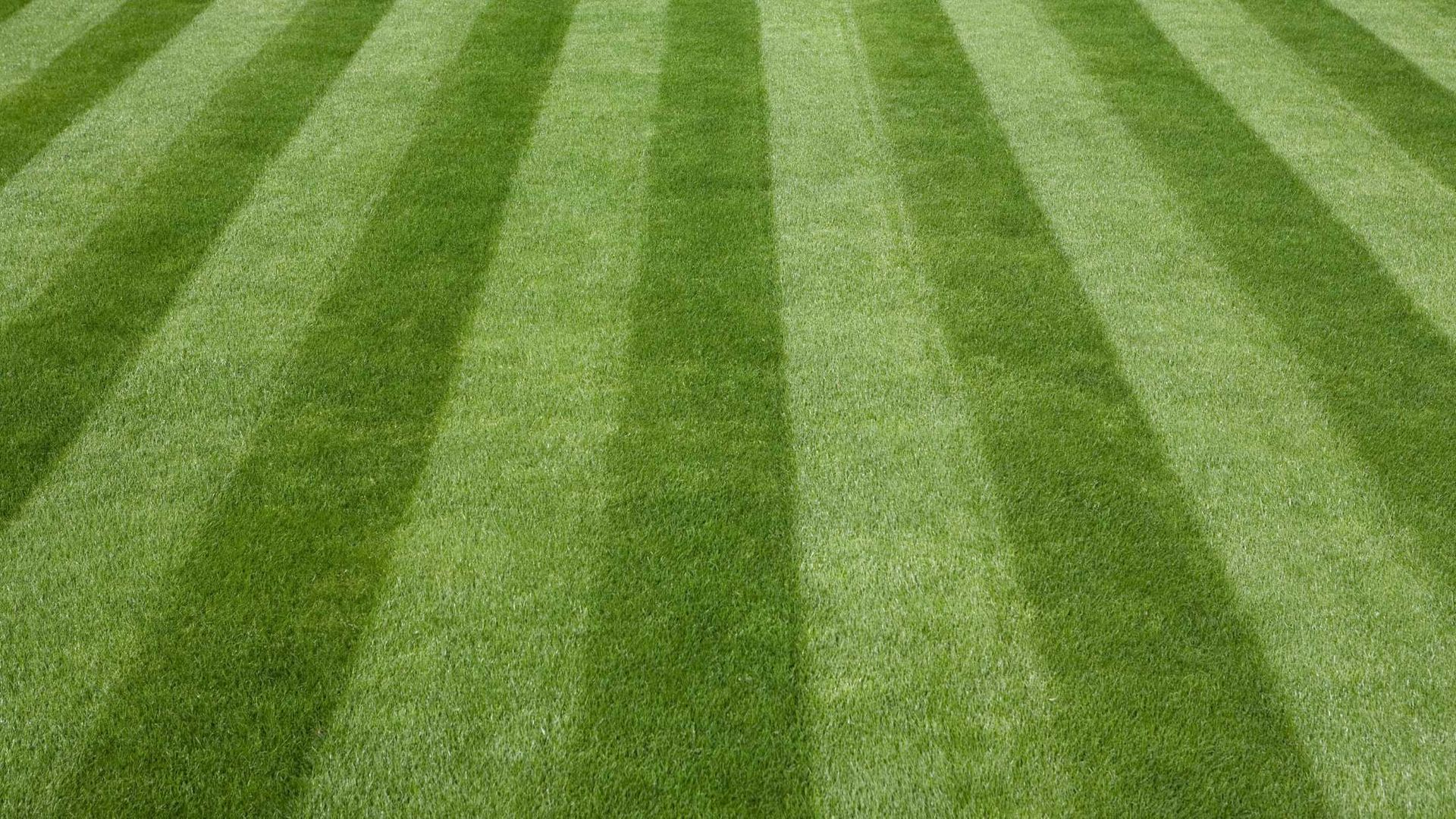 A close up of a lush green lawn with a striped pattern.