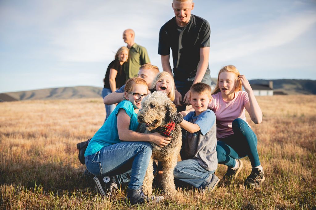 Our dogs are well-cared for and trained. The puppies are raised in a loving, attentive, and well-adjusted environment