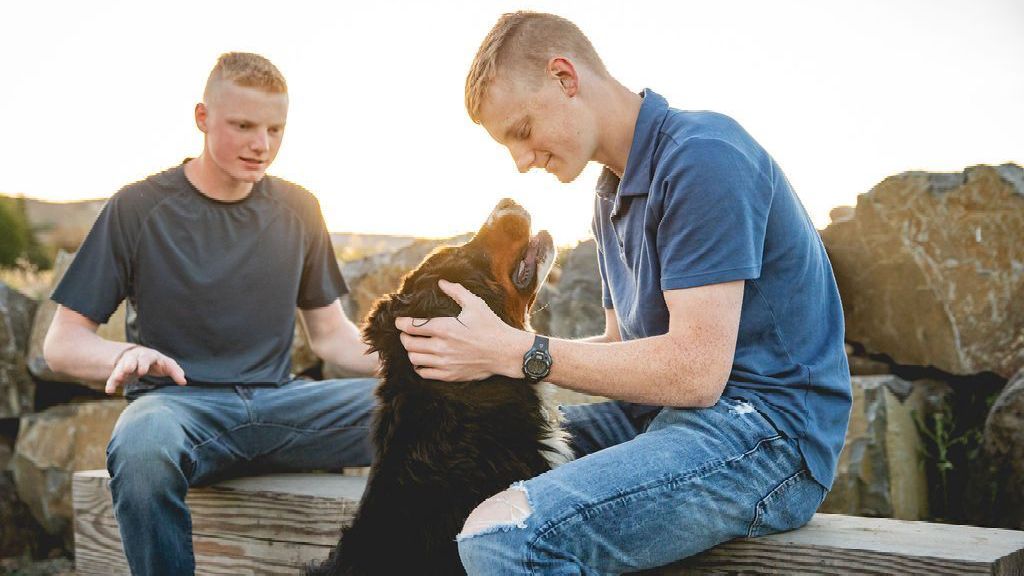 Our dogs are well-cared for and trained. The puppies are raised in a loving, attentive, and well-adjusted environment