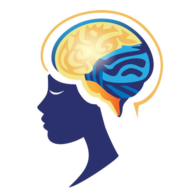 Contact | BNL Health | Brain, Neuro & Life
