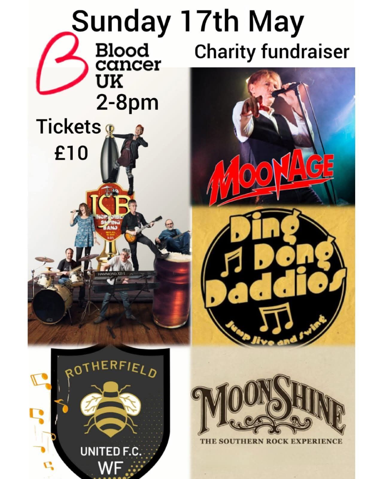 The Dave Robinson Memorial Day of Live Music at The Flowing Spring