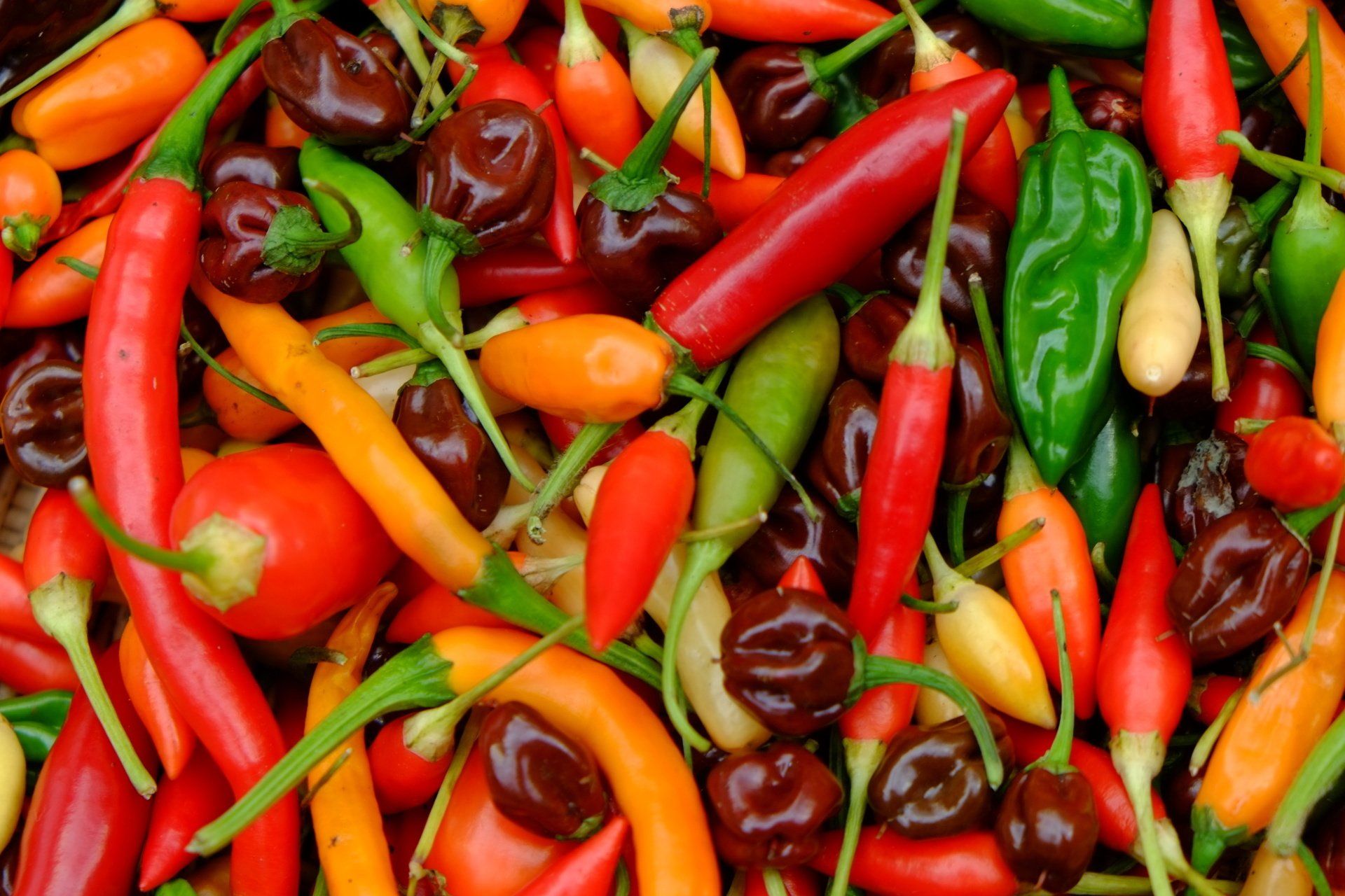 Chilli Week at The Flowing Spring