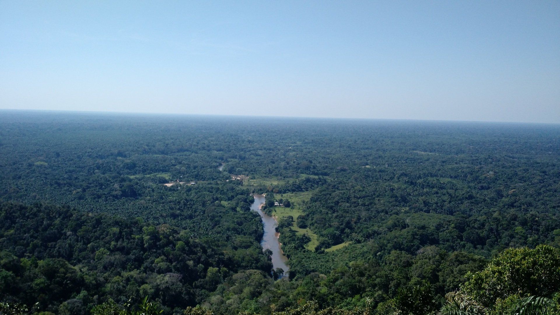 Uma vista aérea de um rio correndo por uma floresta verdejante.