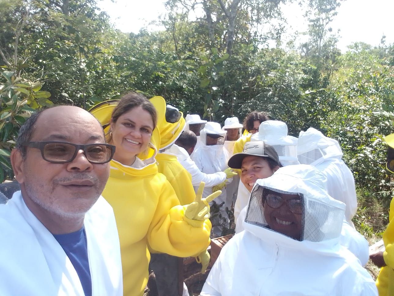 Um grupo de pessoas vestindo fantasias de abelha estão posando para uma foto.