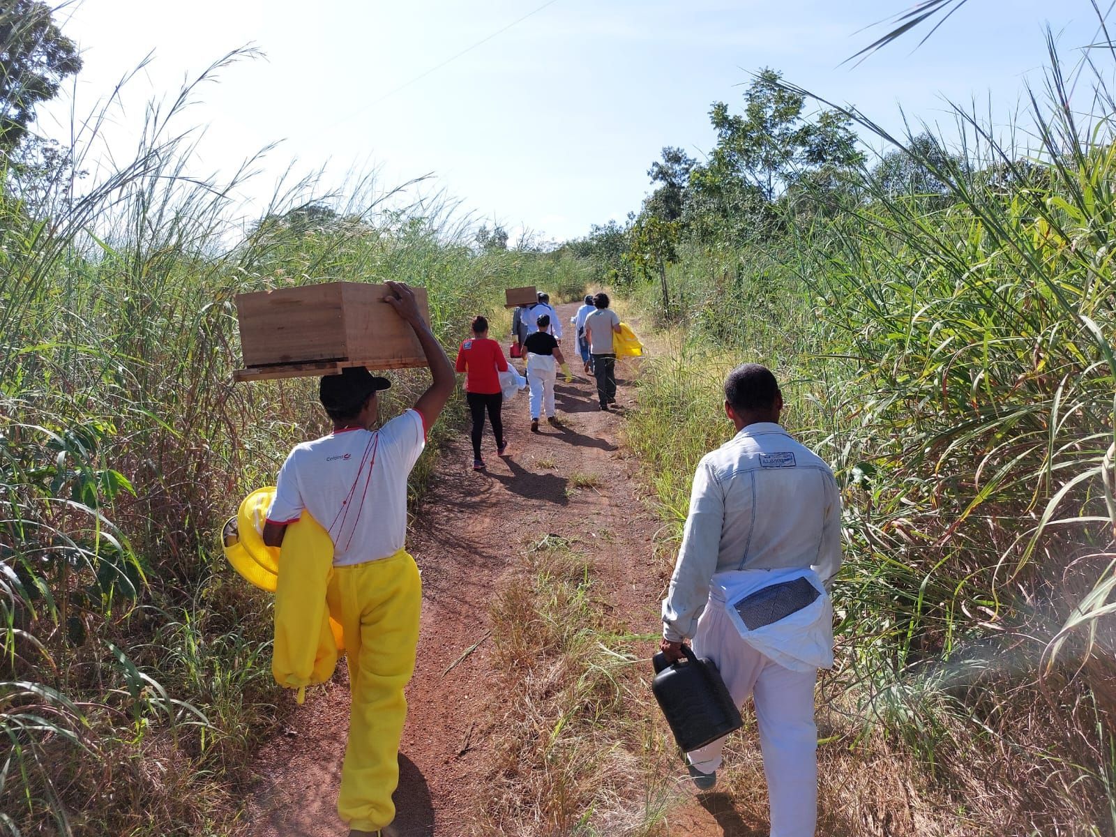 Um grupo de pessoas caminha por um caminho de terra carregando caixas na cabeça.