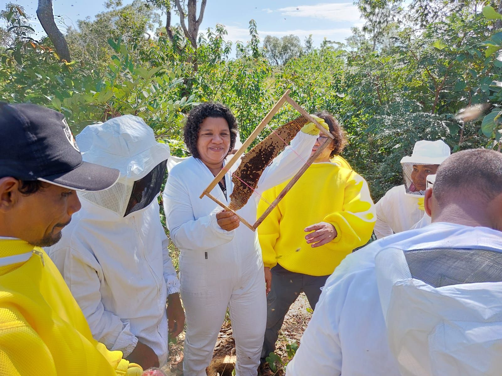 Um grupo de pessoas em trajes de apicultor estão em volta de uma colmeia.