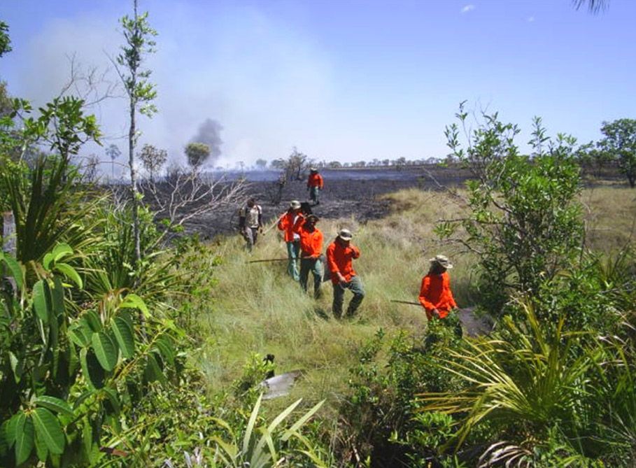 Um grupo de pessoas com jaquetas laranja está caminhando por um campo