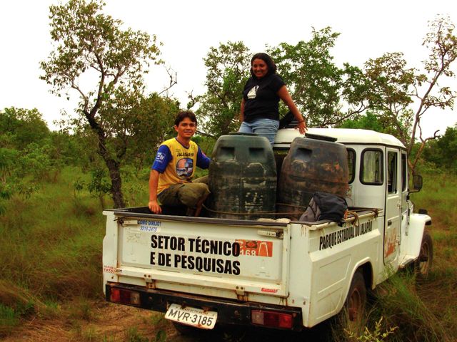 O que é apicultura? Entenda o significado e importância dessa