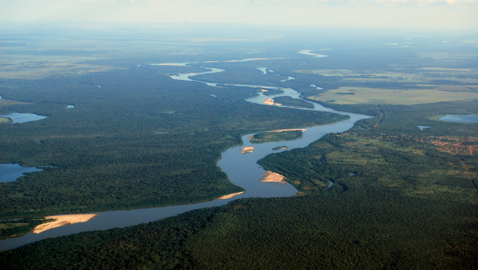 Uma vista aérea de um rio fluindo através de uma floresta verdejante.