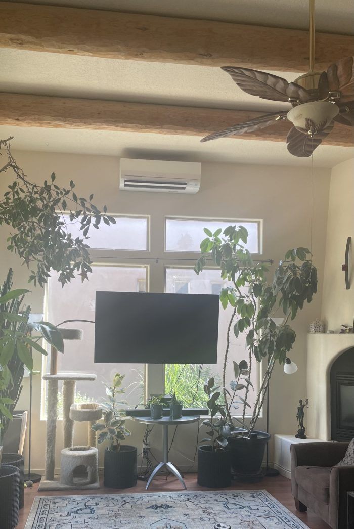 Living room with plants, TV, ceiling fan, and wooden beams.