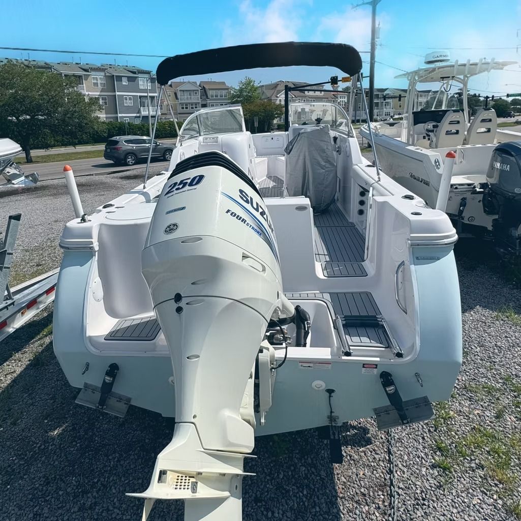 White boat with blue accents, a black canopy, and a large white motor.