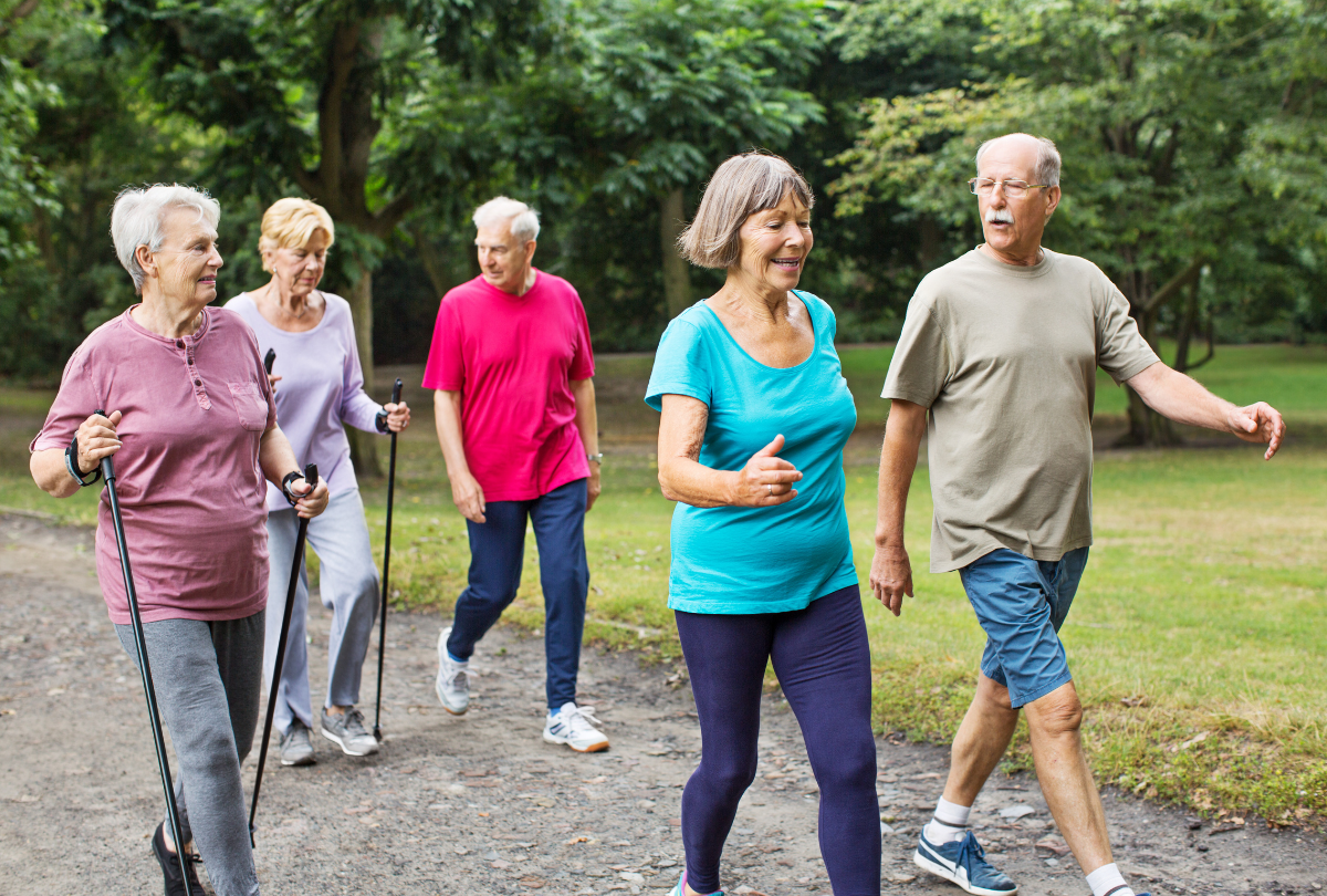A group of elderly people are walking in a park.