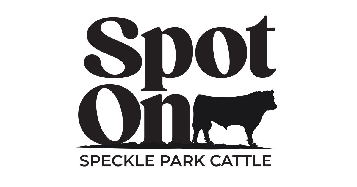 Logo Design in Port Macquarie, tel 0400 444 247