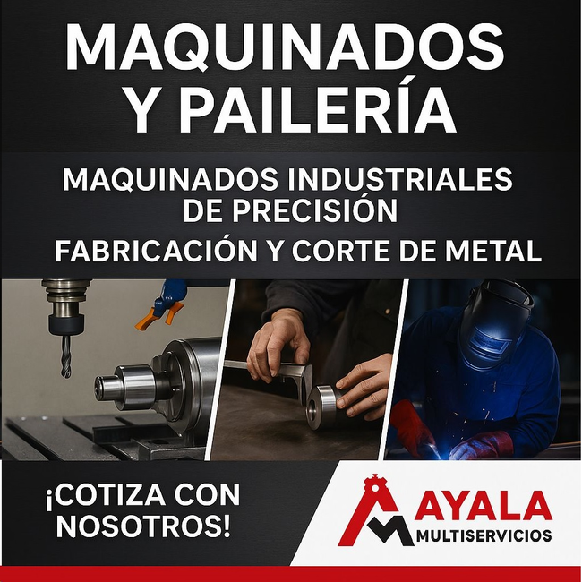 AYALA MULTISERVICIOS