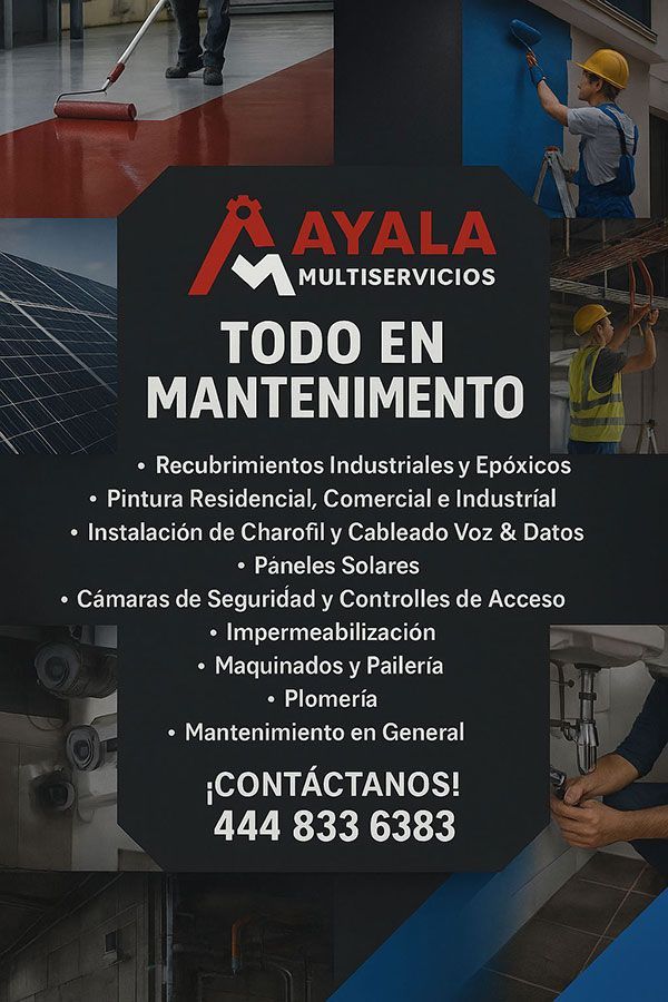 AYALA MULTISERVICIOS