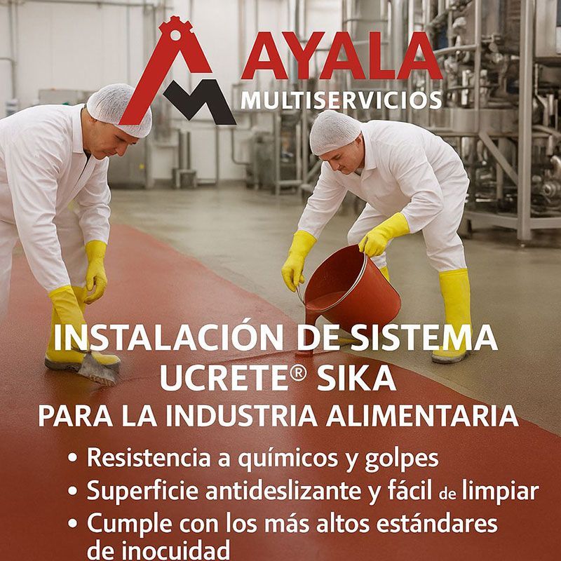 AYALA MULTISERVICIOS