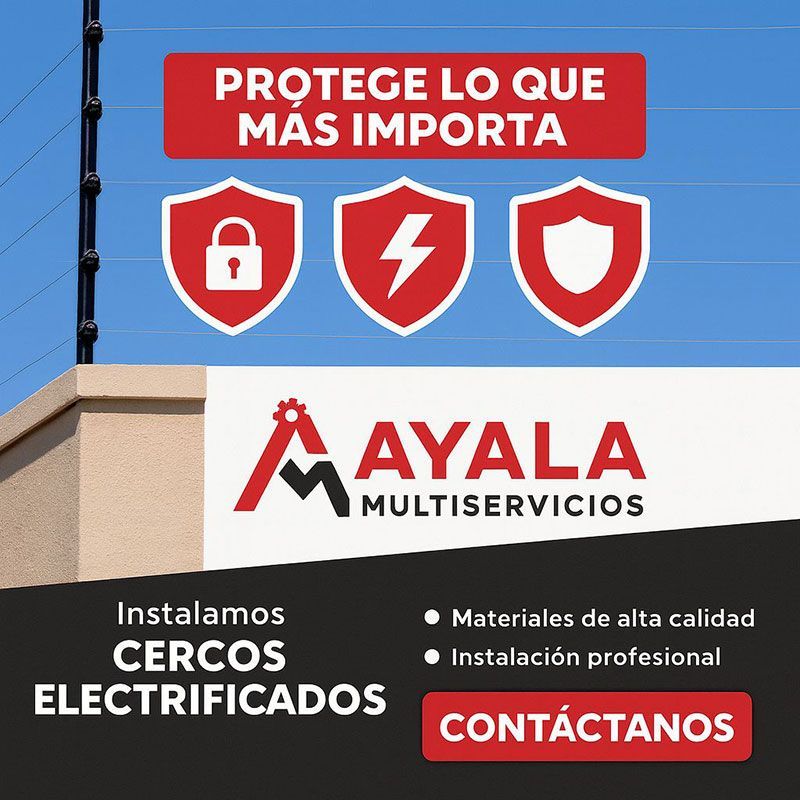 AYALA MULTISERVICIOS