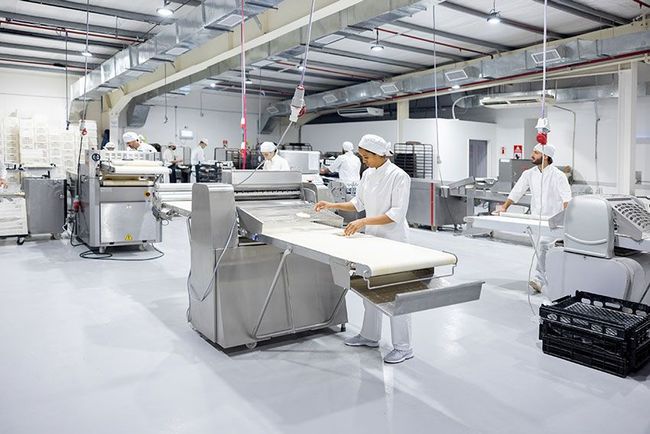 AYALA MULTISERVICIOS