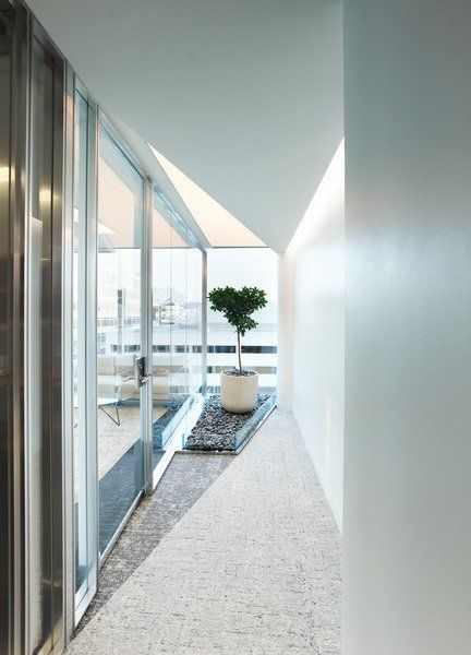 A hallway with a plant in the middle of it