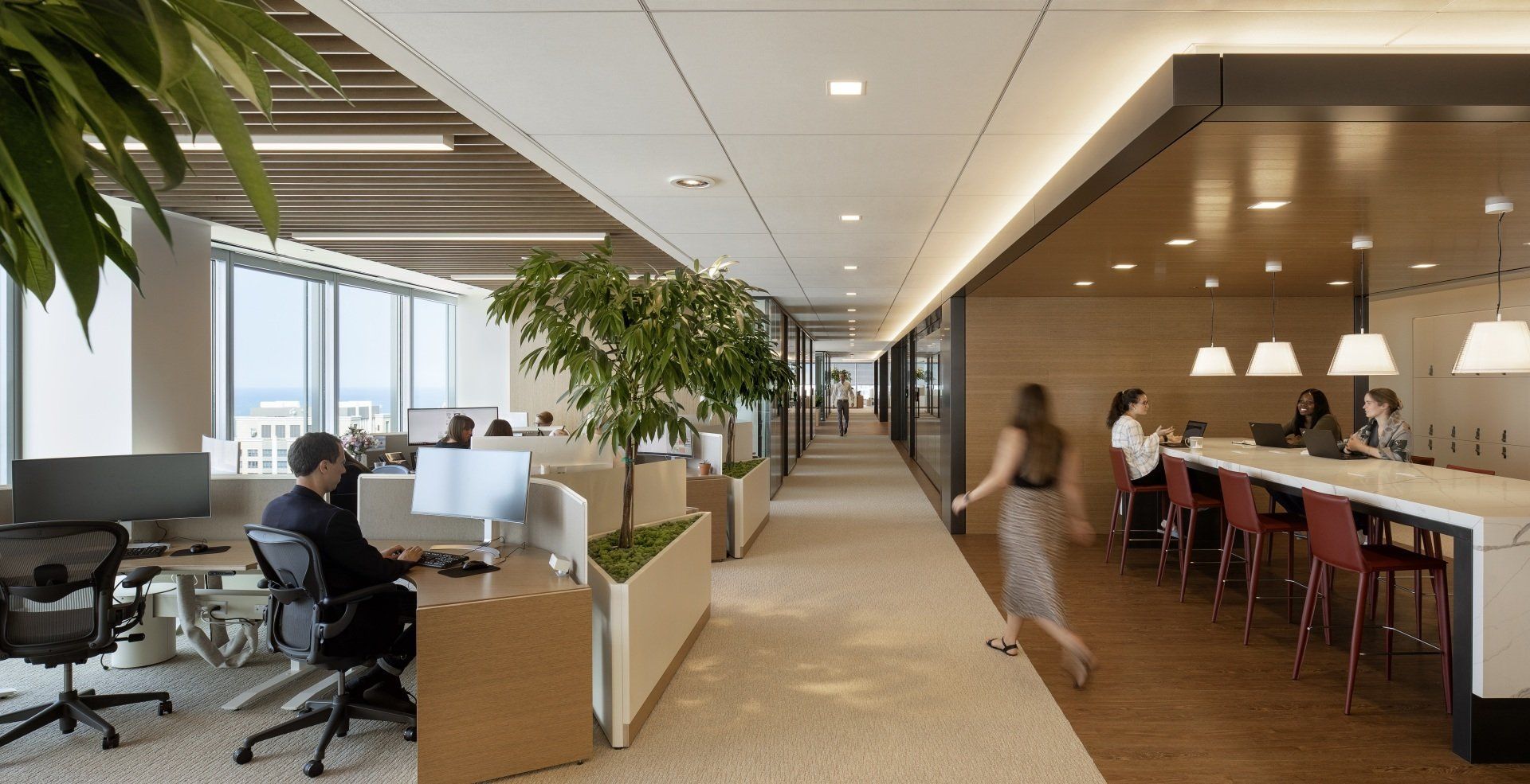 A group of people are sitting at desks in an office.