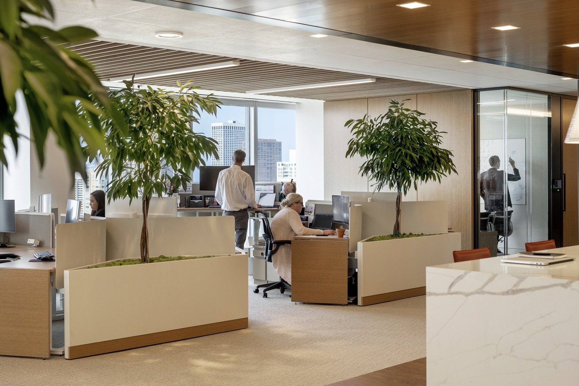 A group of people are sitting at desks in an office.