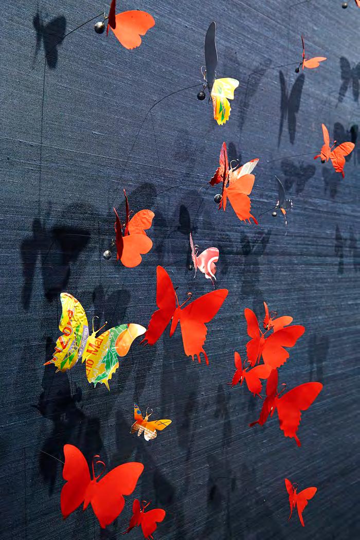 A bunch of butterflies are flying in the air