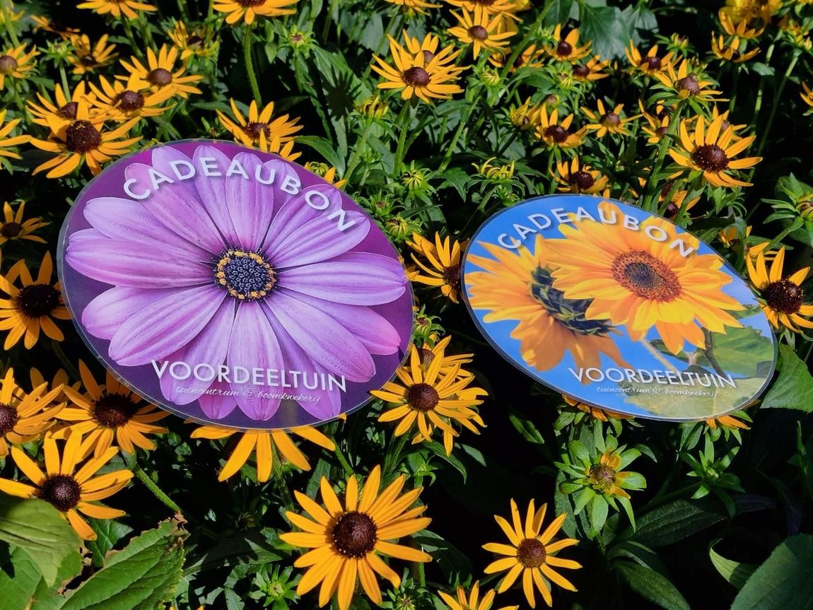 Twee cadeaubonnen met bloemen: een bon met een paarse bloem en een bon met een gele zonnebloem.