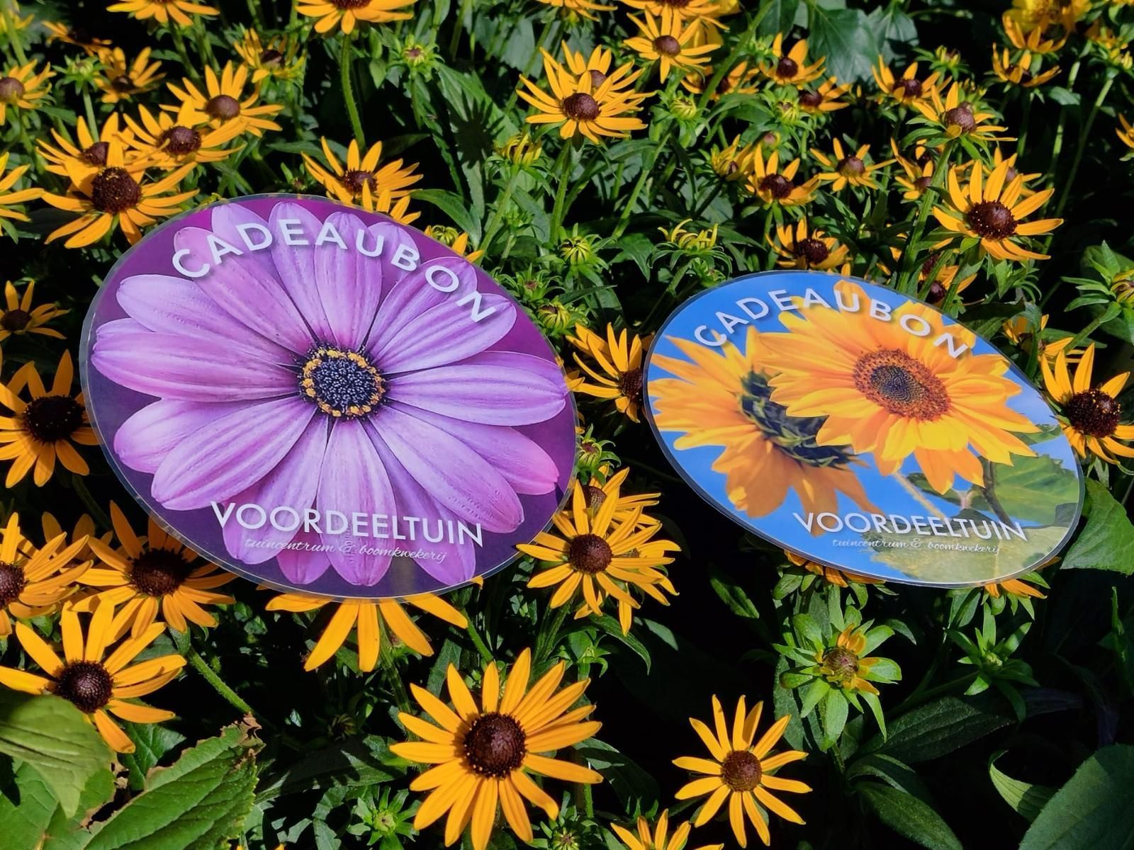 Twee cadeaubonnen met bloemen: een bon met een paarse bloem en een bon met een gele zonnebloem.