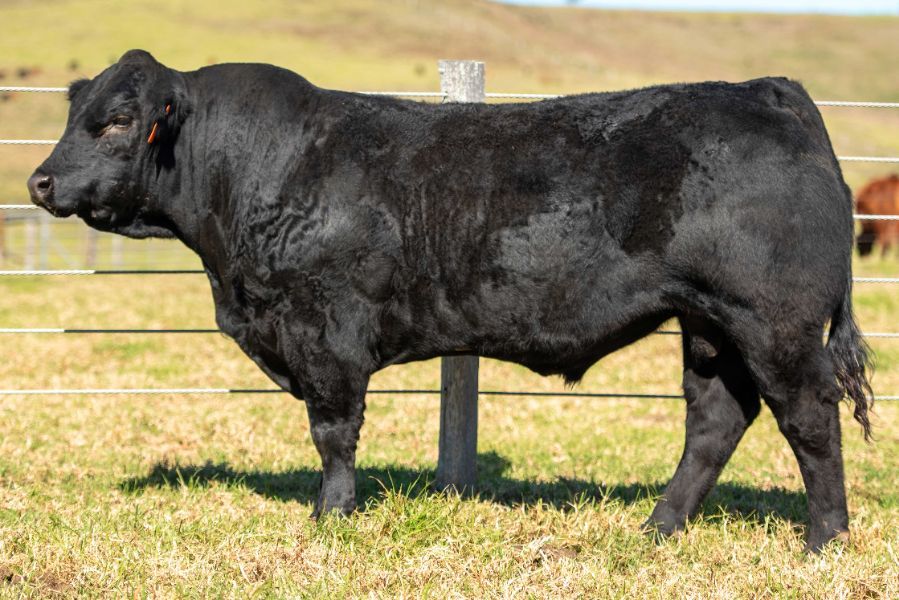 OSullivans Radium R27