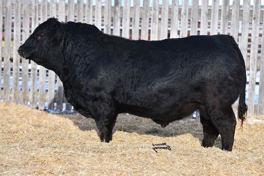 OSullivans Radium R27