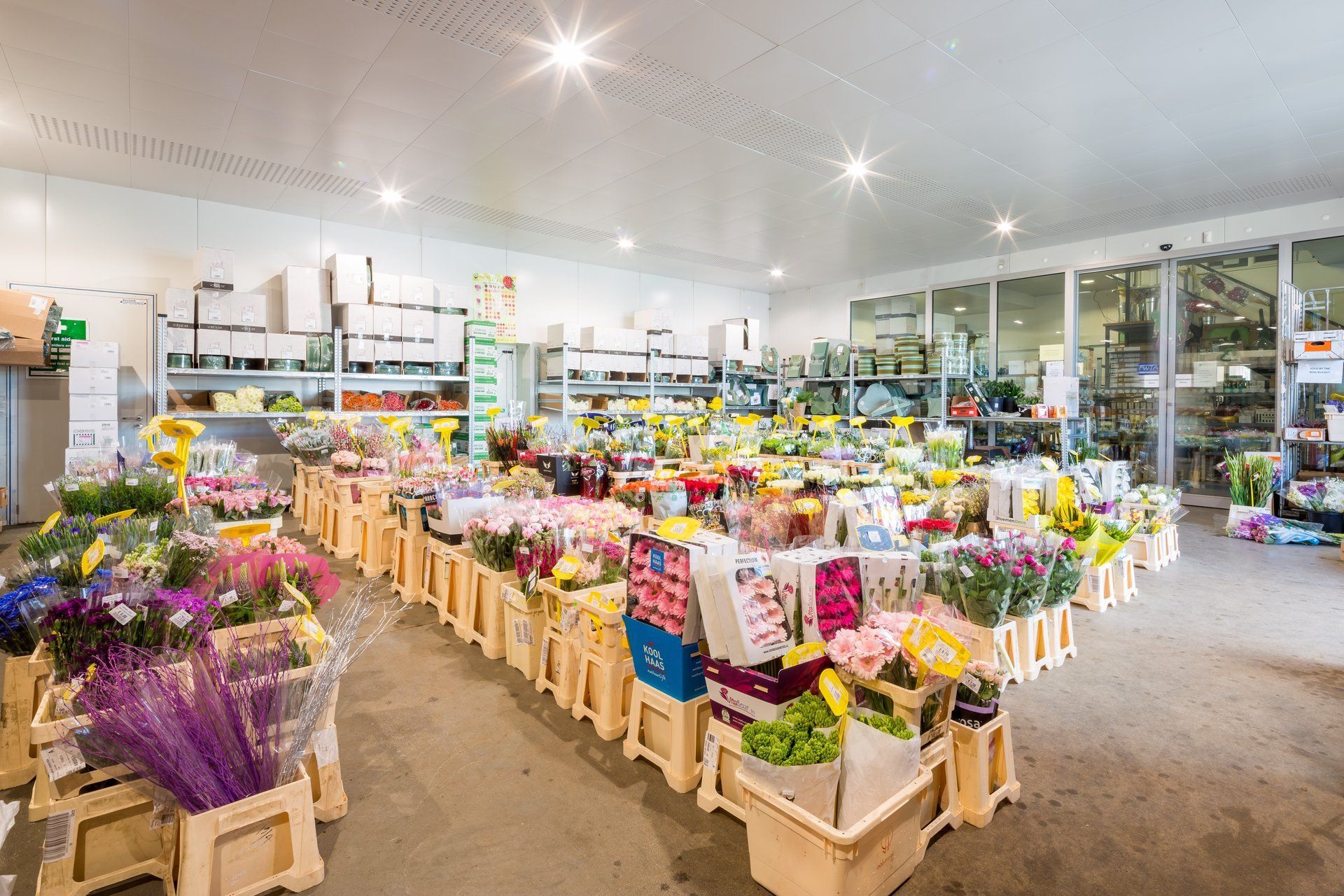 Sunflower Spalding Cash and Carry Ltd Wholesale flowers in Spalding