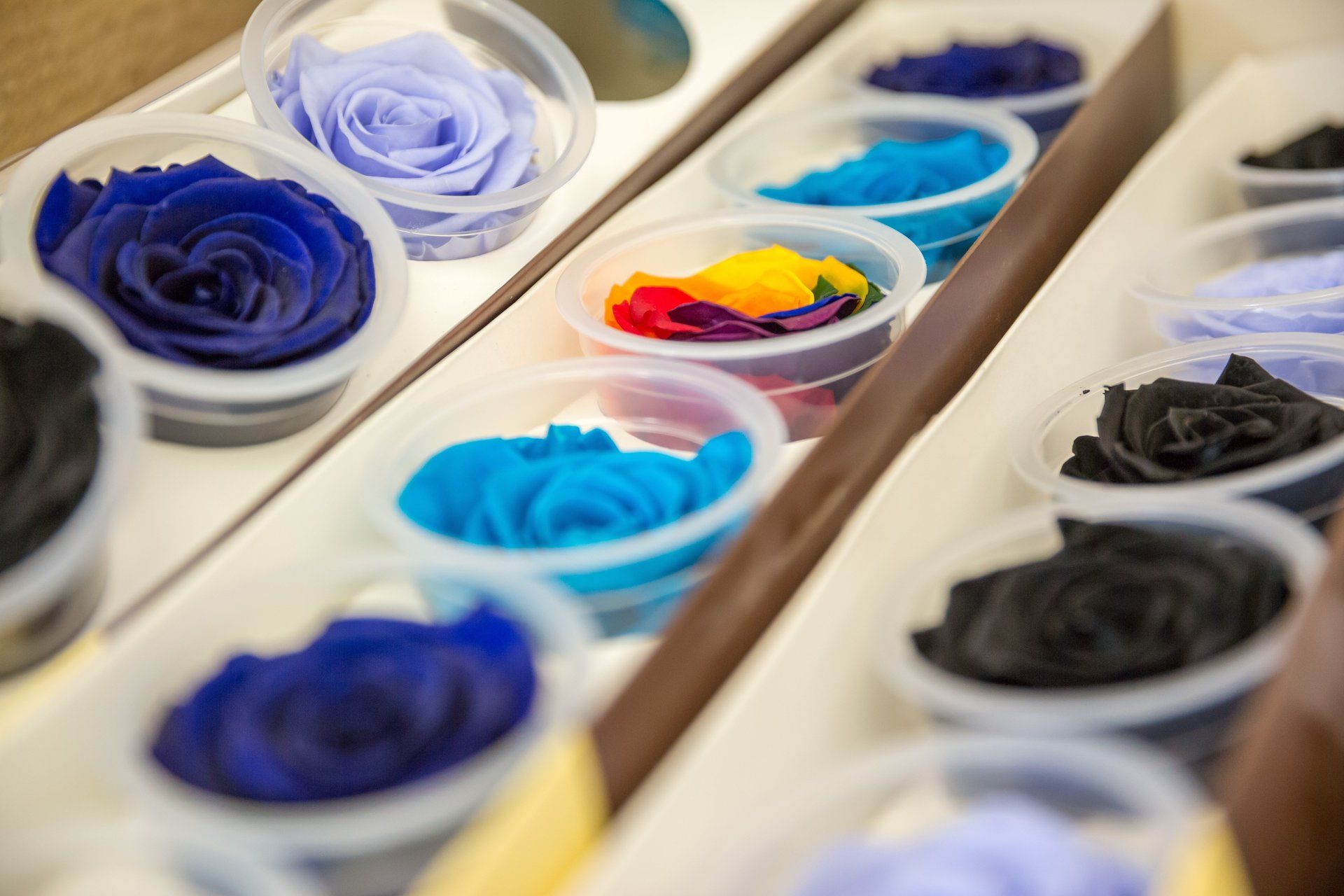 Sunflower Spalding Cash and Carry Ltd Wholesale flowers in Spalding