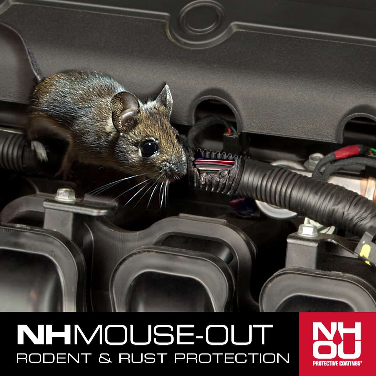 How To Keep Mice Out Of Camper & RV