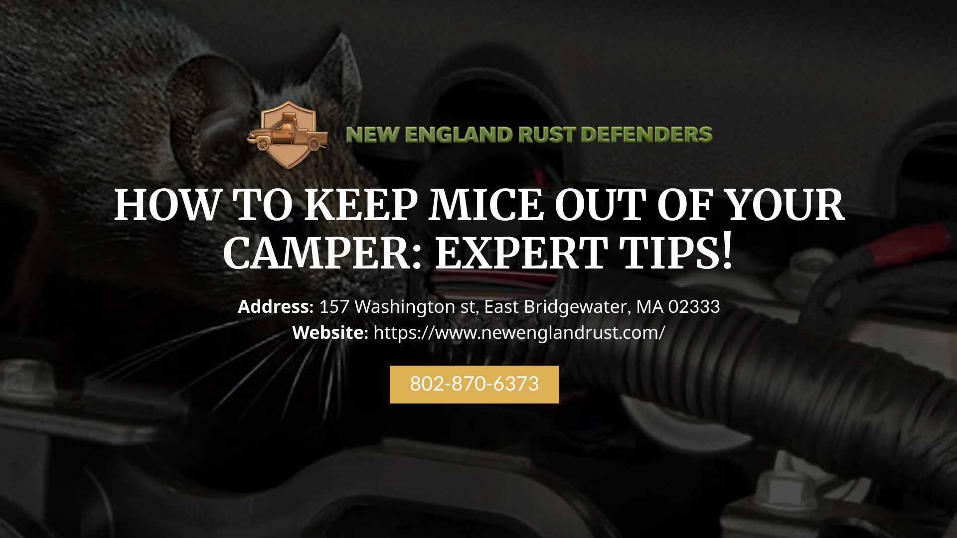 How To Keep Mice Out Of Camper & RV