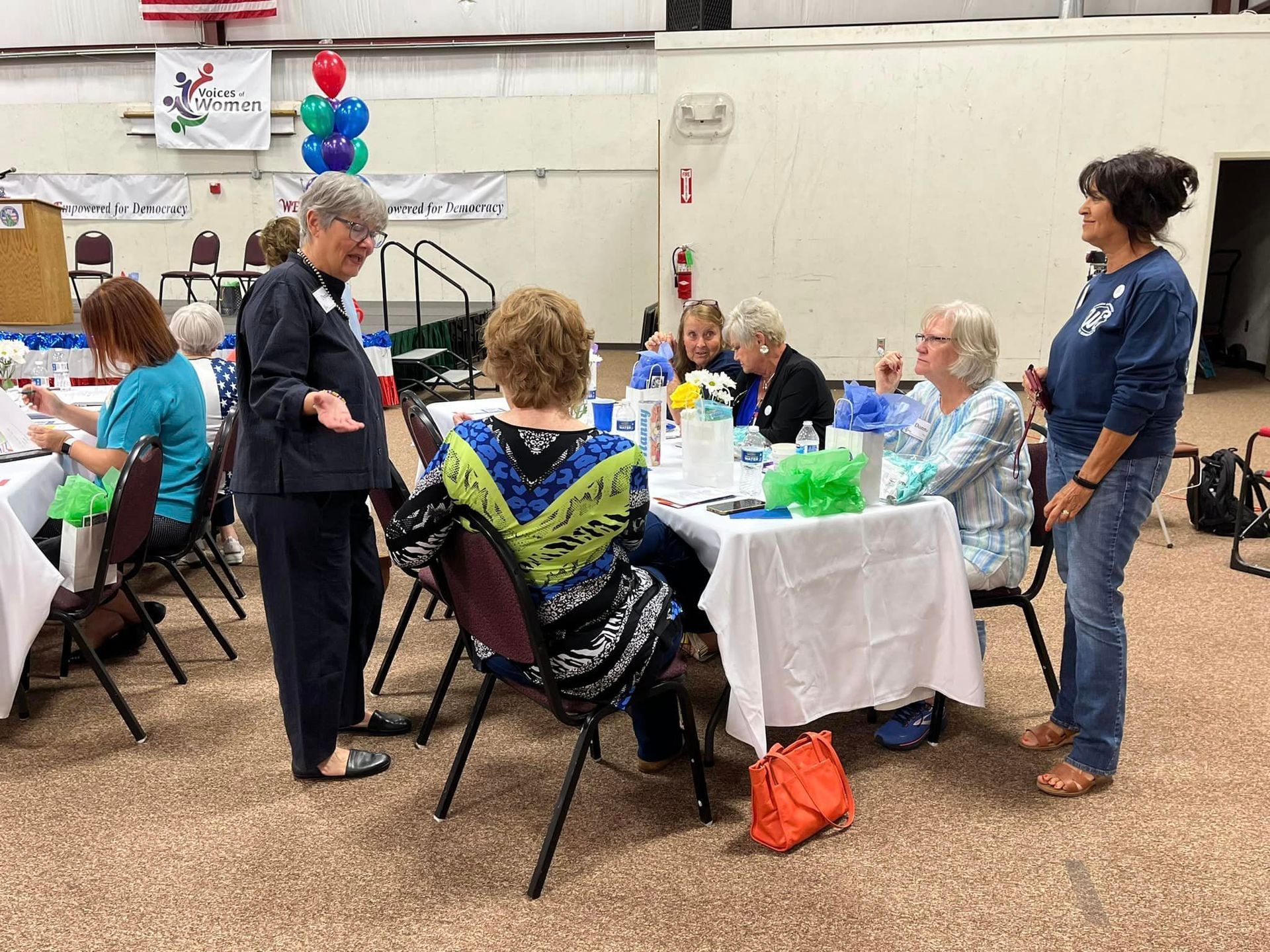 Women Empowered for Democracy photo