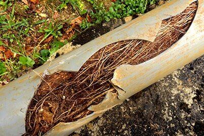 Split drainage pipe — Drain & Sewer Line Cleaning in Michigan