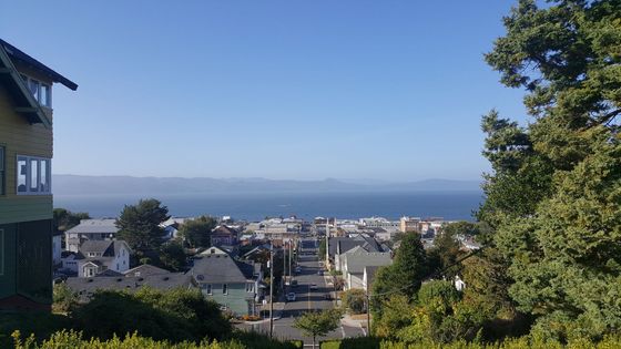 A view of a city from a hill overlooking the ocean