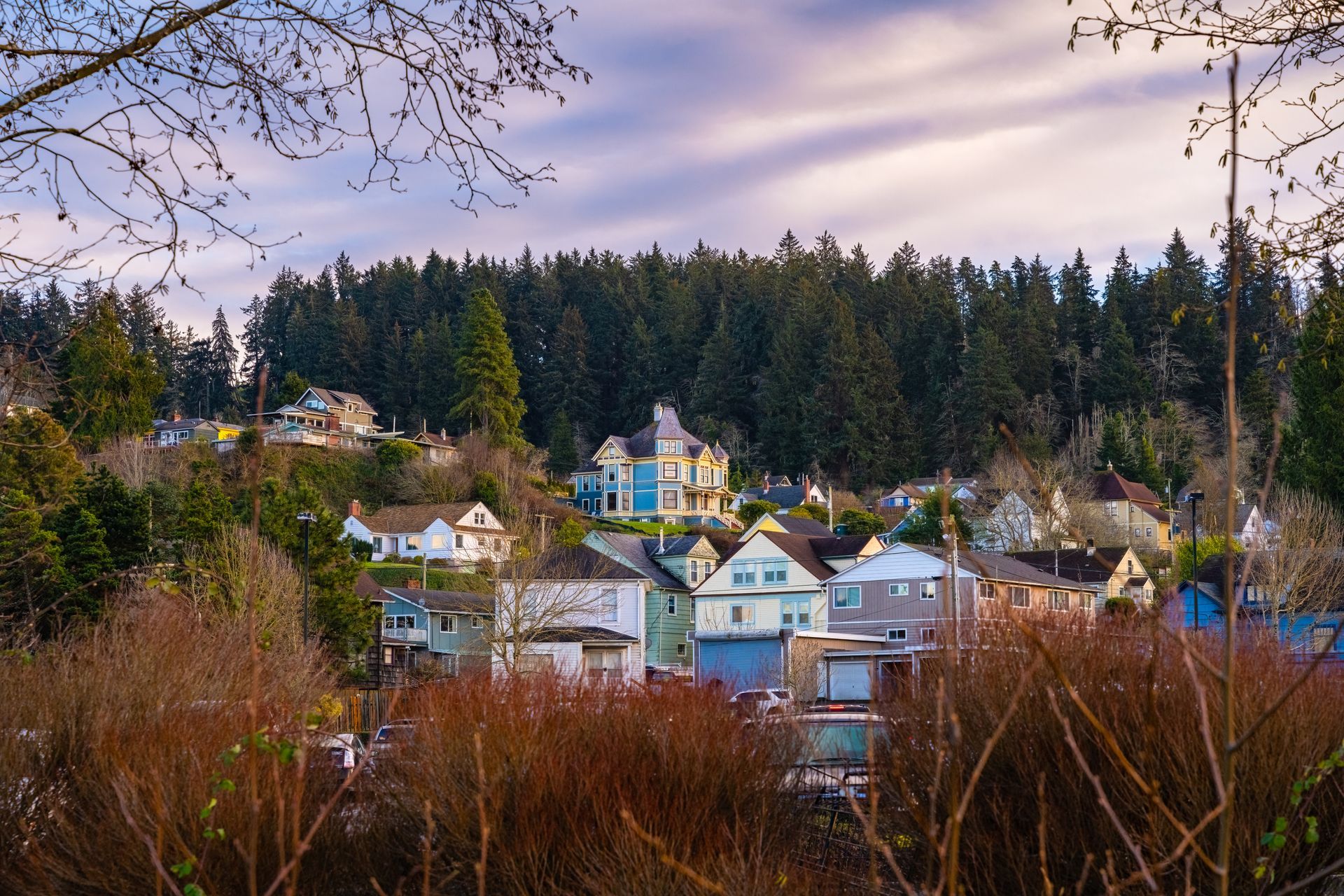 A residential area with houses and trees in the background