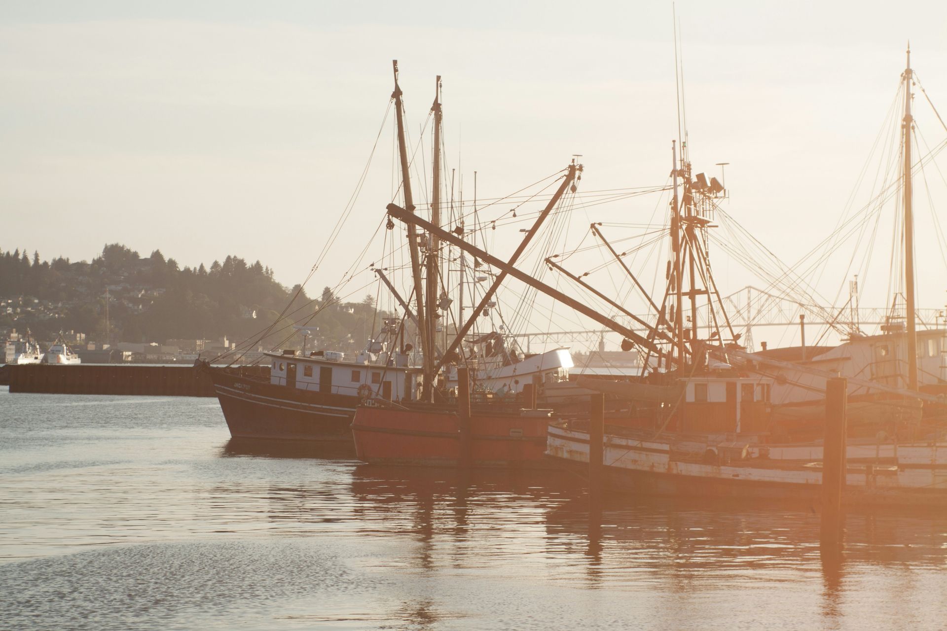 Several boats are docked in a harbor at sunset