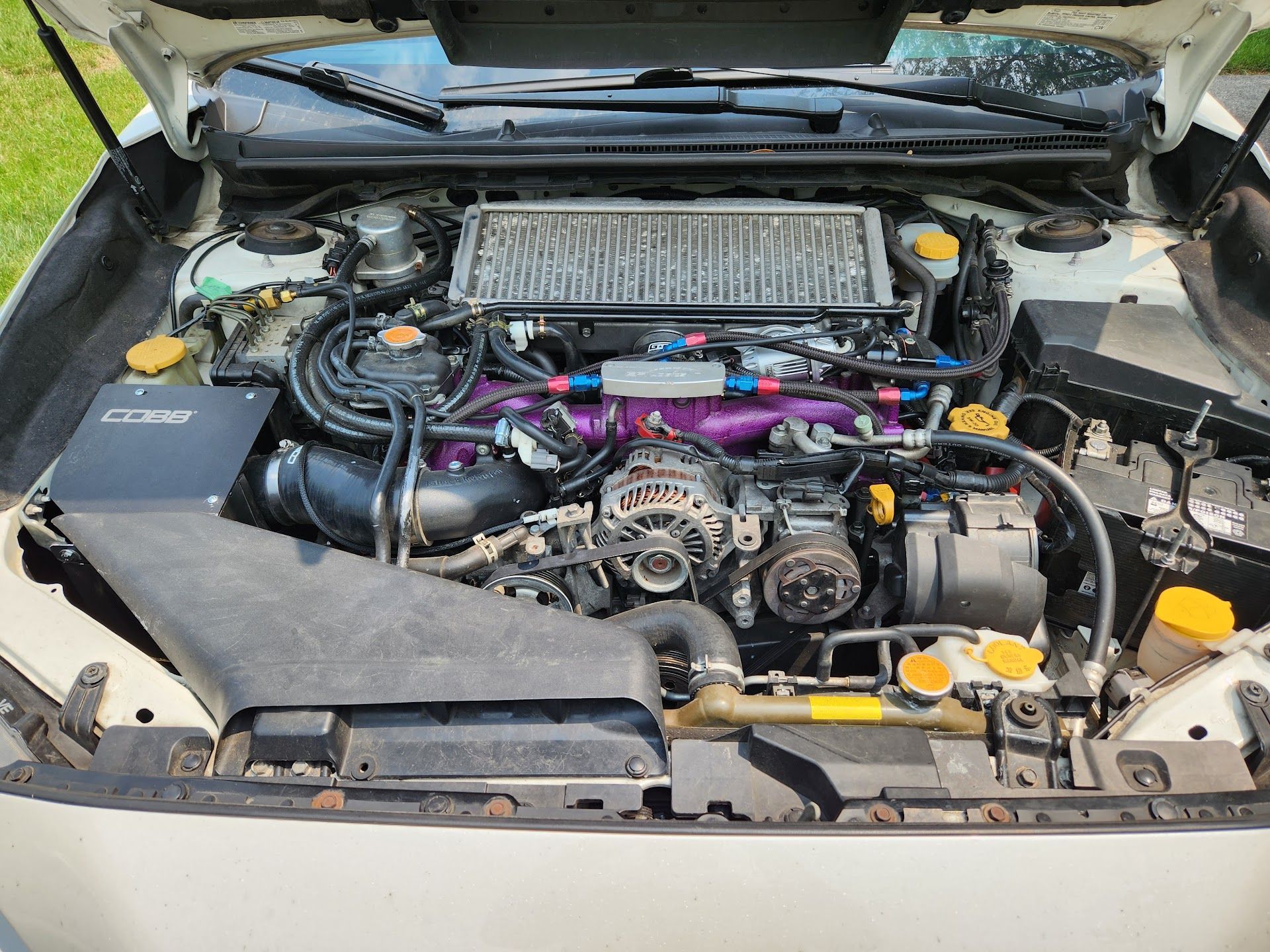 The open engine bay of a Subaru featuring a large top-mounted intercooler and a purple intake manifold. | Teter Auto