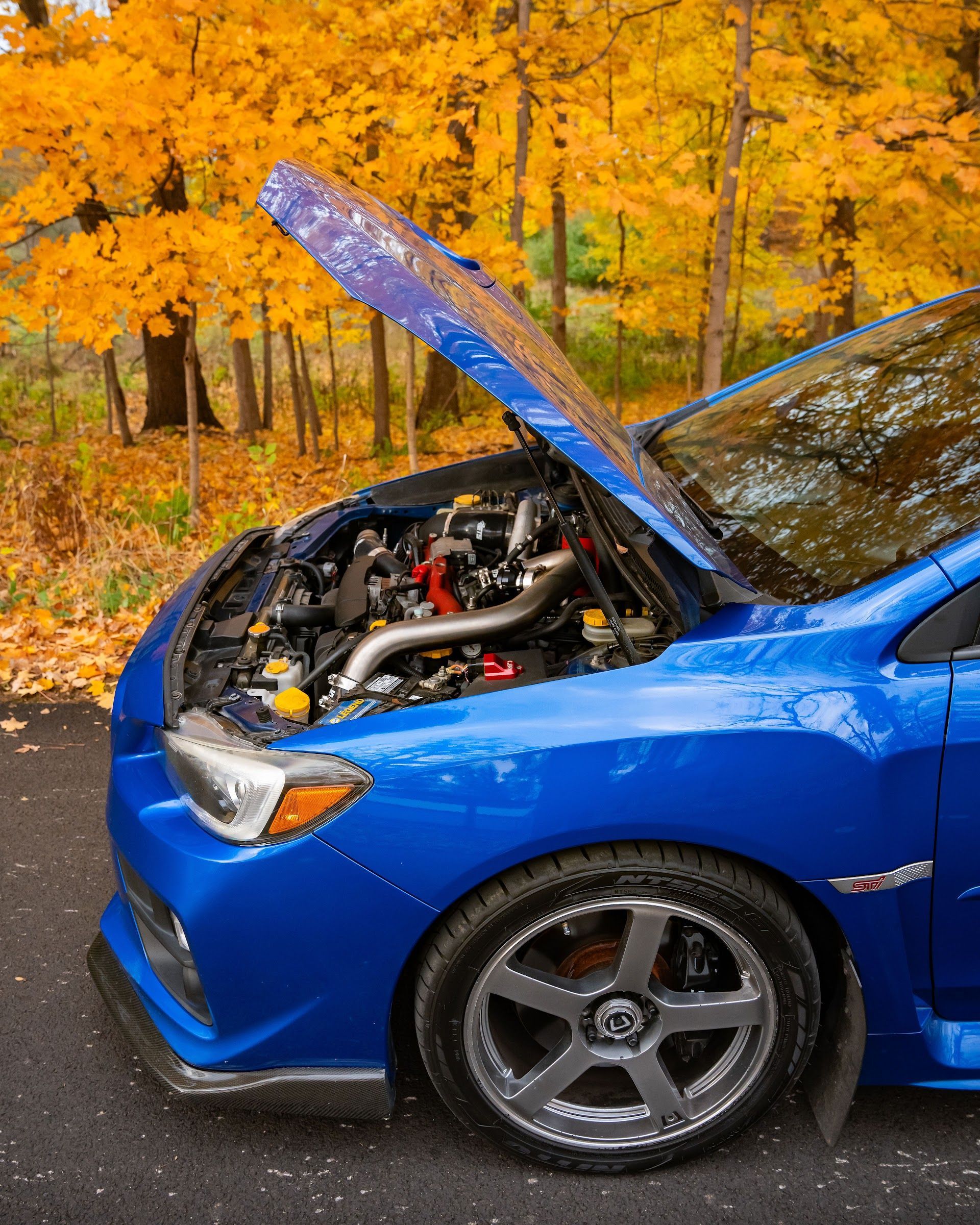 A bright blue car with its hood open, parked in a forest setting with vibrant yellow autumn foliage. | Teter Auto