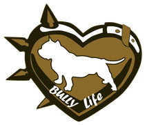 bully life logo