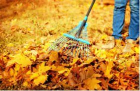Fall Yard Clean Up - Leaf Clean Services