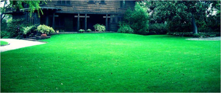 One-Time Yard Care in Boise ID