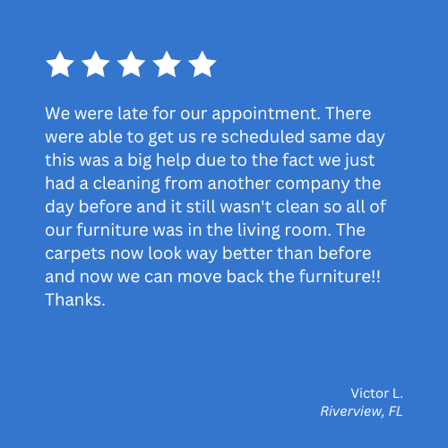 carpet cleaning riverview florida