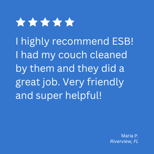 carpet cleaning companies riverview fl