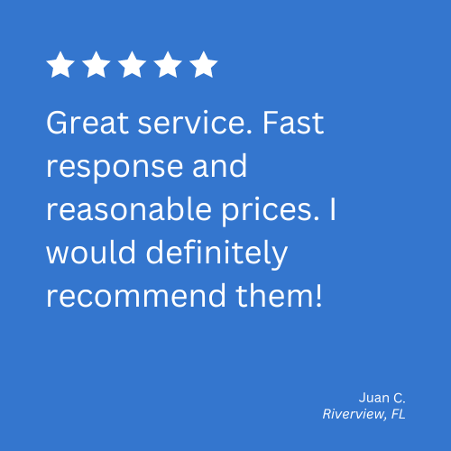 carpet cleaning in riverview fl