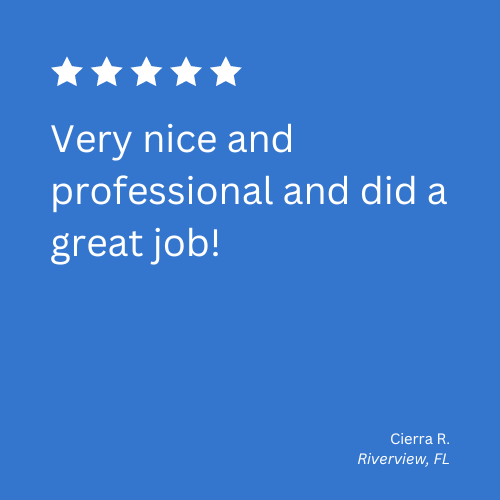 carpet cleaning specialists near me